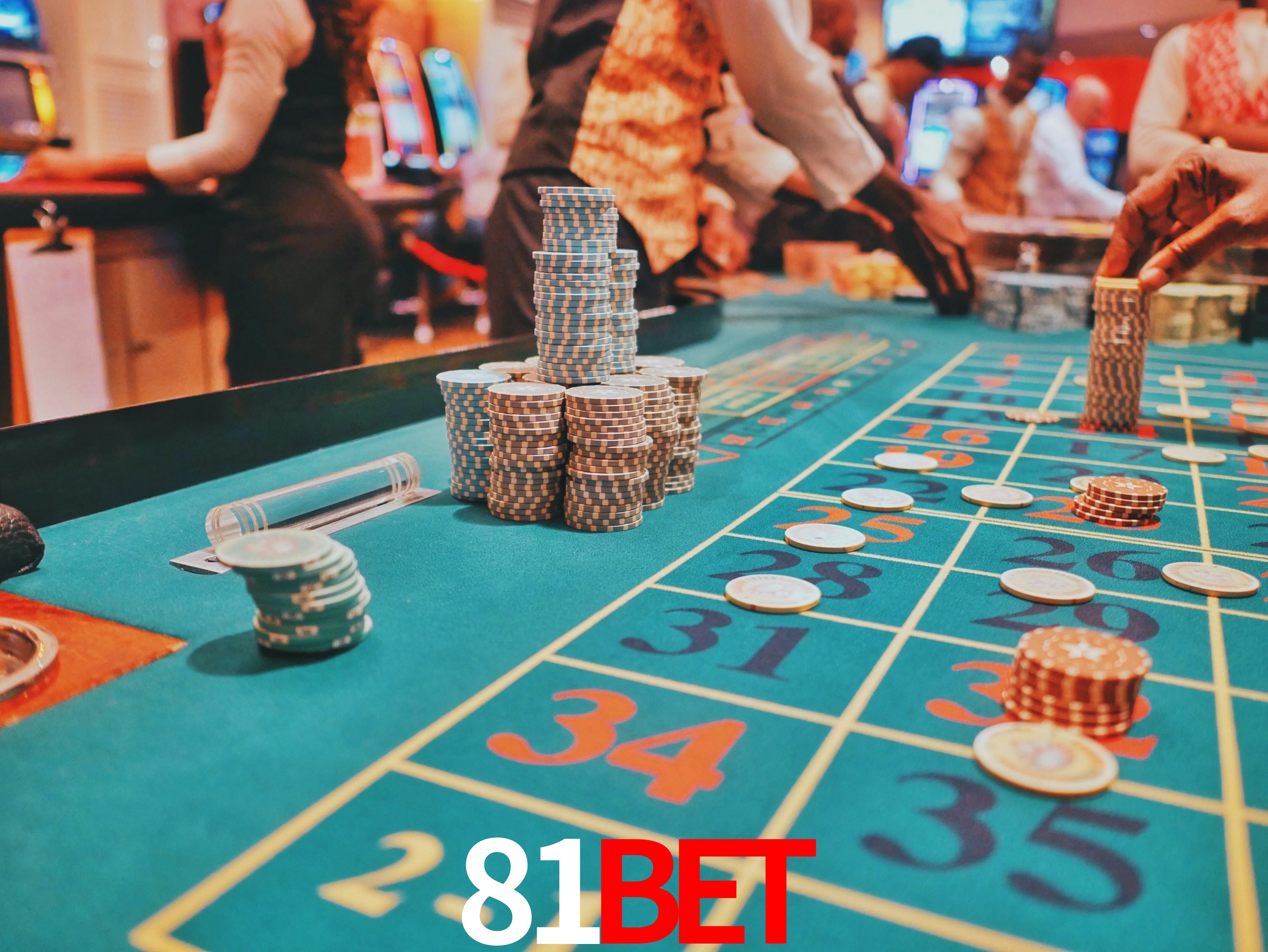 Sports Statistics 81bet